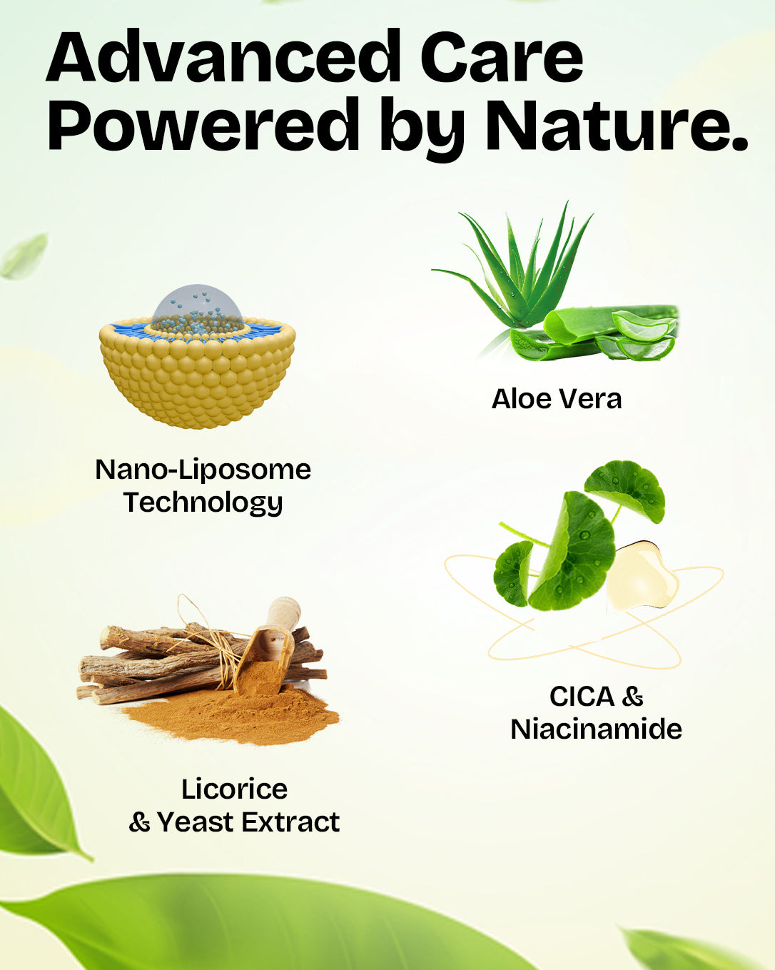aloe vera, nano-liposome technology, licorice, yeast extract