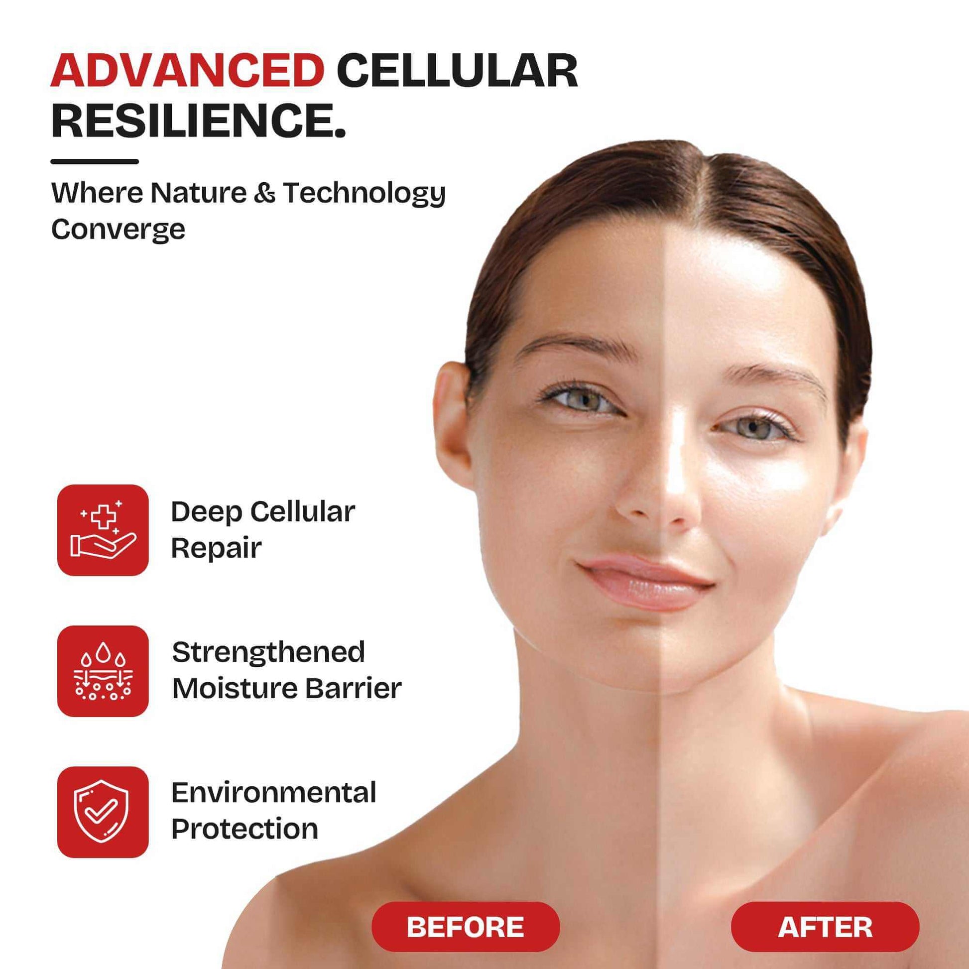 Exosilk Advanced Renewal Serum bottle with plant-derived copper peptide and ceramide complex for skin renewal